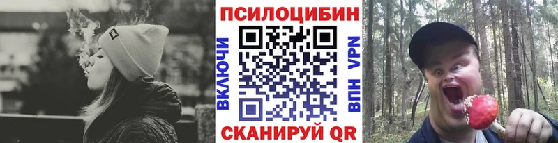 Галлюциногенные грибы Psilocybine cubensis  Купить где  Моршанск 